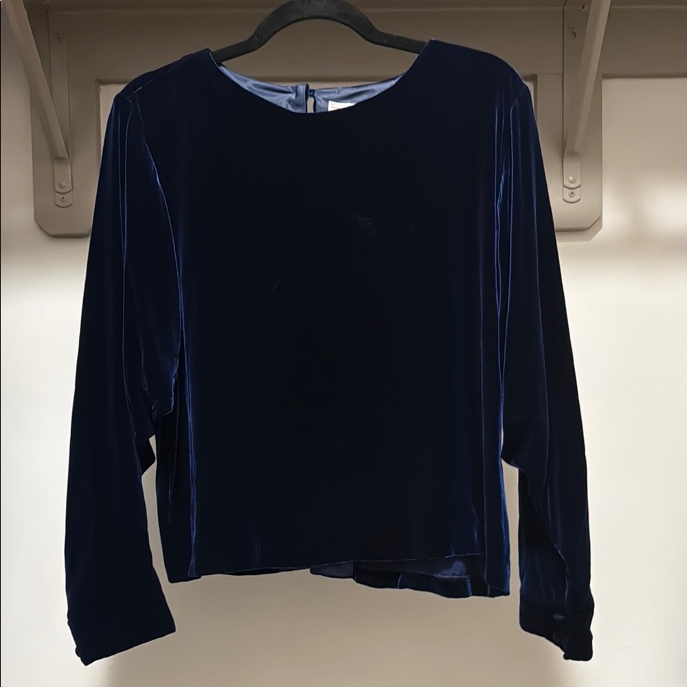 Talbots Blue Long Sleeve Velvet Blouse